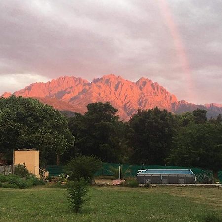 ホテル Le Coin Tranquille Morosaglia エクステリア 写真